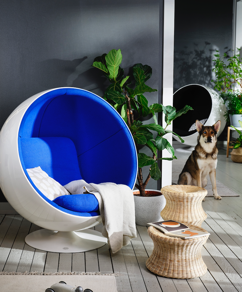 Rattan Mushroom